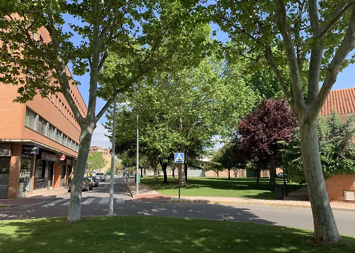 Hotel que admite mascotas: Hotel Universidad